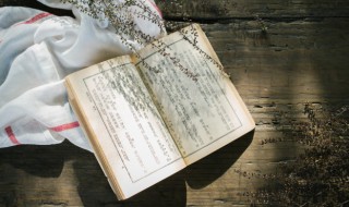 鼎的意思是什么 鼎的相关知识