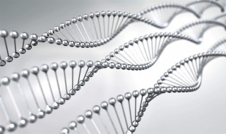 什么是生物工程 生物工程的解释