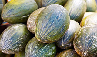 香瓜种植到成熟期一共多少天 香瓜长什么样子