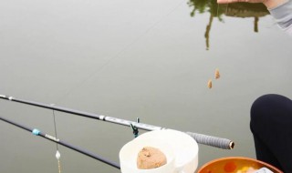 闷竿钓法用多重的坠 闷竿钓法用什么重量的坠