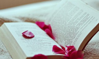 成长型基金是什么 成长型基金介绍