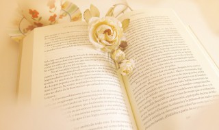 记账报税是什么意思 记账报税介绍