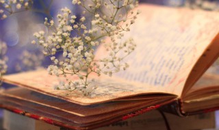 清算资金往来是什么 清算资金往来介绍