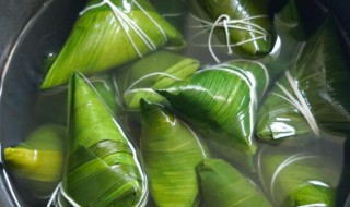 普通锅煮粽子多长时间 普通锅煮粽子多久