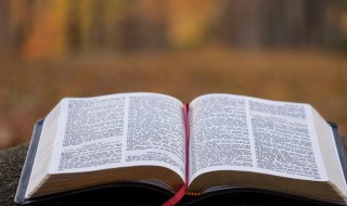 制度经济学是什么 制度经济学介绍