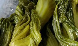 黄菜和碱蓬的区别 黄菜和碱蓬有什么区别