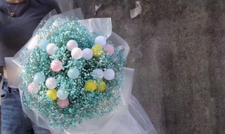 满天星花束多久枯萎 满天星介绍