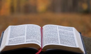 样本量是什么 样本量介绍