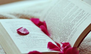 什么是红利再投资 红利再投资介绍