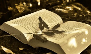 什么是被背书人 被背书人介绍