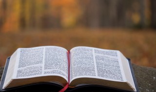 累计摊销是什么 累计摊销介绍