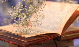 什么千里共婵娟上一句 千里共婵娟上一句是什么