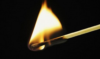 元素的化学性质由什么决定 元素的化学性质决定性质