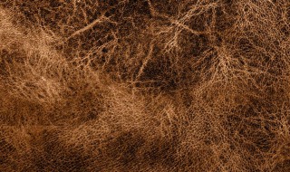 皮草是什么材质 皮草介绍