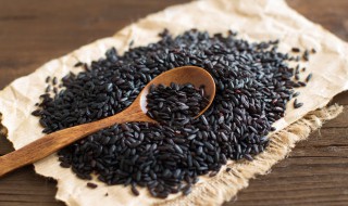 煮黑米易烂的窍门 煮黑米易烂的方法