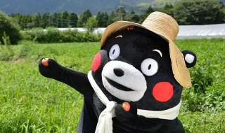 如何给村长和熊本熊拍合照 给村长和熊本熊拍合照操作步骤