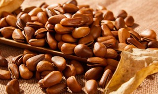 松子如何开口最佳方法 如何让松子开口呢