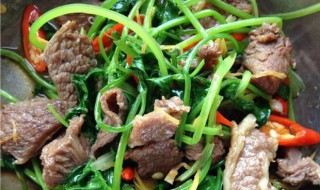 羊肉片的做法大全家常 三种羊肉片的做法介绍