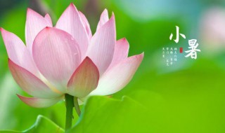 儿童小暑饮食注意事项 儿童小暑饮食注意事项有哪些