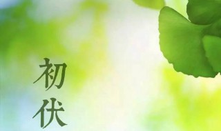 2021年初伏是哪一天 2021年初伏是哪天