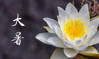 大暑是什么时候2021年 大暑的习俗有哪些