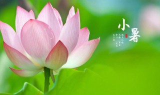 2021年小暑是阳历几月几日 2021年小暑阳历时间介绍