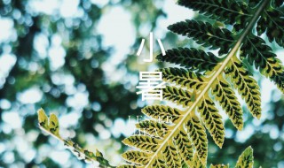 小暑是入伏第一天吗2021 小暑是不是入伏第一天2021