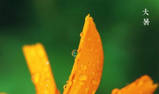 2021年大暑时间 大暑介绍