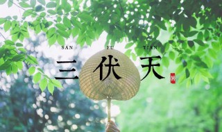 2021年三伏天时间表共多少天 2021年三伏天时间表时间多长