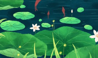 夏至朋友圈文案 关于夏至朋友圈文案