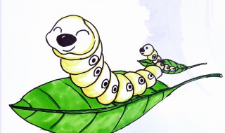 养蚕注意事项 养蚕要注意什么