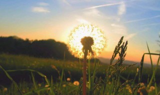 适合发圈的说说 适合发圈的说说有哪些