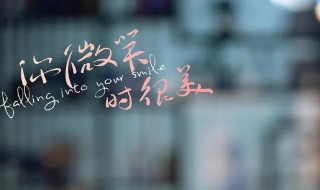 你微笑时很美小说 你微笑时很美小说内容梗概