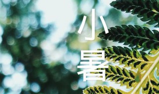 小暑农事歌 小暑农事歌是什么