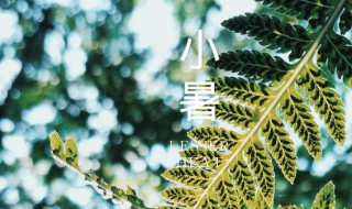 小暑多晴天大暑多雨天的意思 怎么理解小暑多晴天大暑多雨天的意思