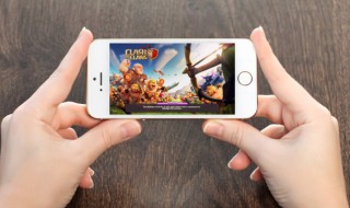 小森生活羊驼毛卷怎么做? 小森生活羊驼毛卷做法步骤