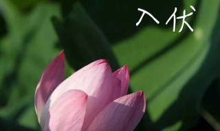 2021年头伏是哪一天 2021年头伏时间