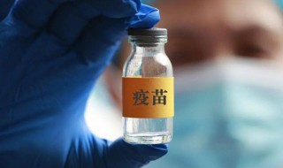 新冠疫苗第一针和第二针隔多久 新冠疫苗第一针和第二针间隔时间