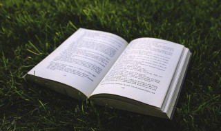 悲观的反义词 悲观的反义词有什么