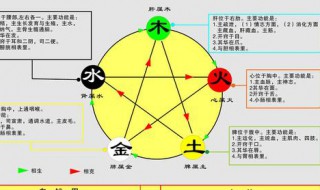 为什么五行是金木水火土 金木水火土为什么是五行
