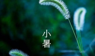 2021年小暑后第一个未日是什么时候 2021年小暑后第一个未日是何时