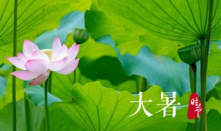 2021年大暑几日几时几分 2021年大暑是什么时候