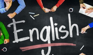 option是什么意思啊 option的含义