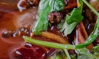 血鸭怎么炒 血鸭如何炒