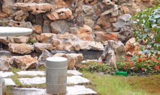 橘井泉香是指什么 橘井泉香的典故