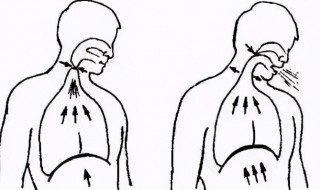初学者怎么学腹部发音 初学者如何学腹部发音