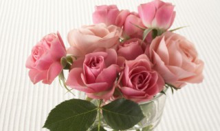 写给对象的情话 写给对象的情话有哪些