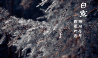 24节气白露的含义是什么 关于24节气白露的含义
