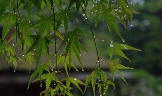 苏州梅雨季节是几月份 苏州梅雨季节是多少月份