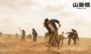山海情结局 山海情简介